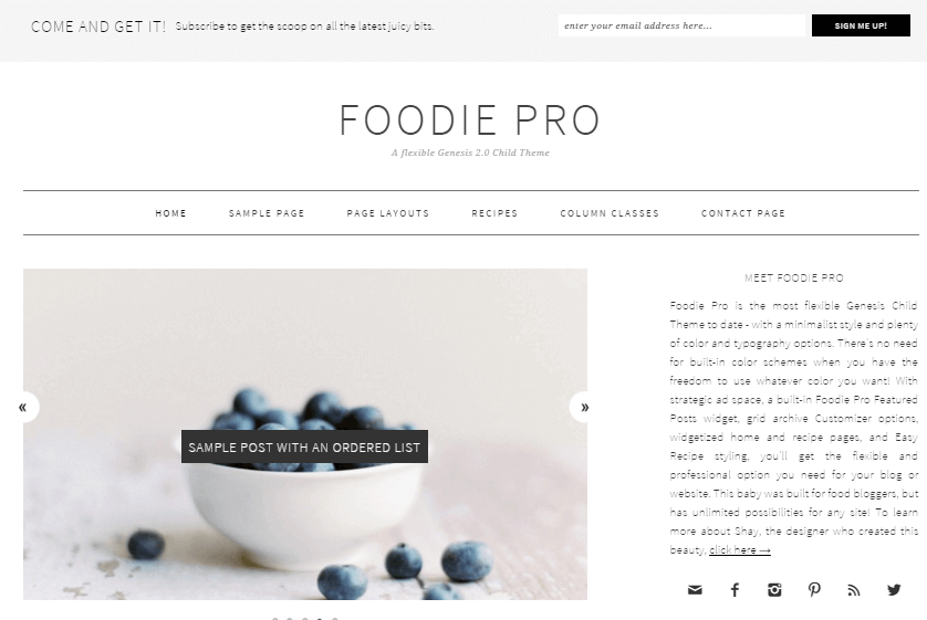 Foodie-Pro-wordpress-recipe-theme