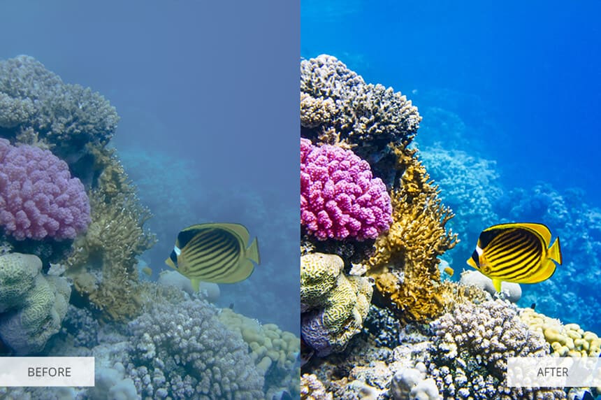 underwater photography lightroom presets