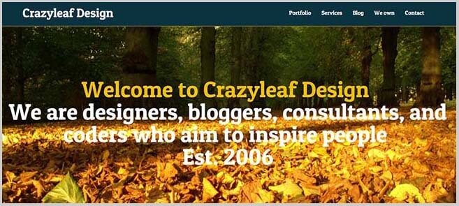Crazy-Leaf-Design-getting-paid-to-write