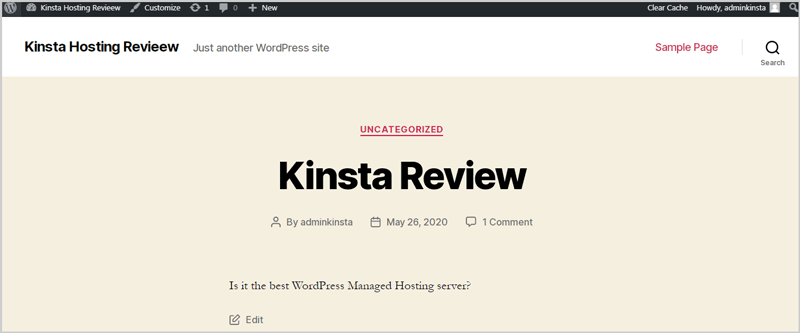 Kinsta hosting review