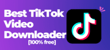 Best TikTok Video Downloader