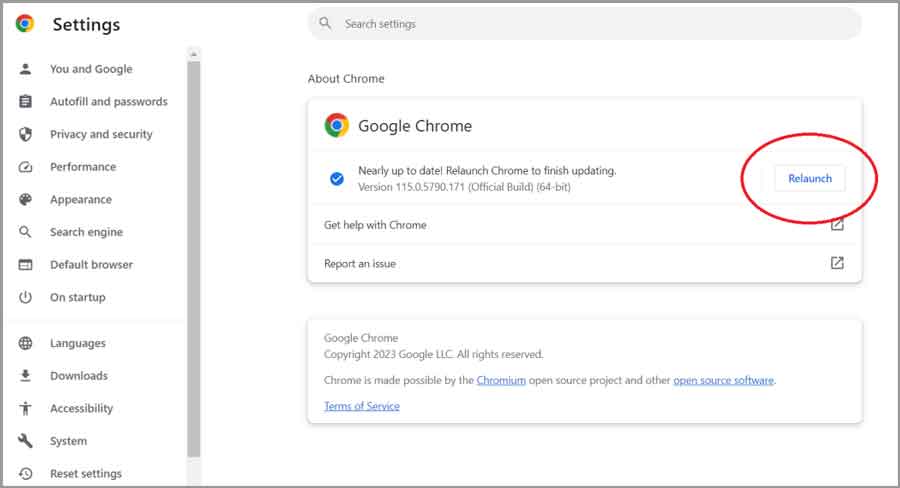 Chrome will automatically download