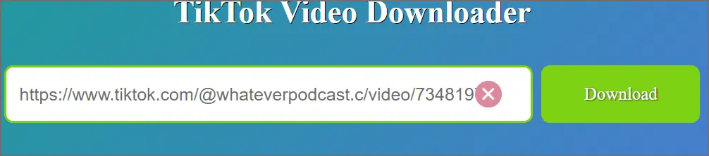 TikTok Video Downloader