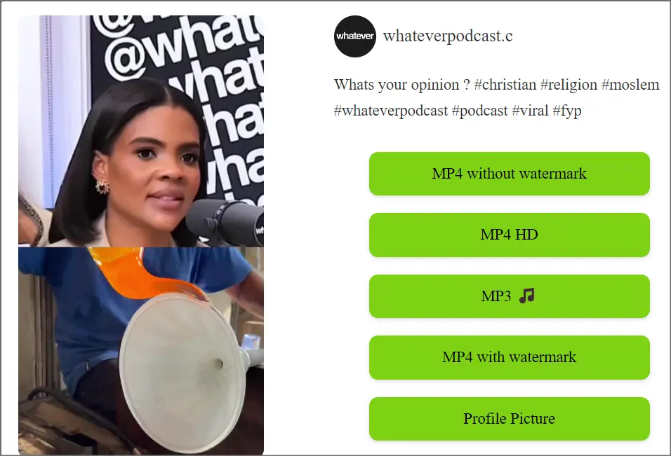 download options in SnapTikVideo