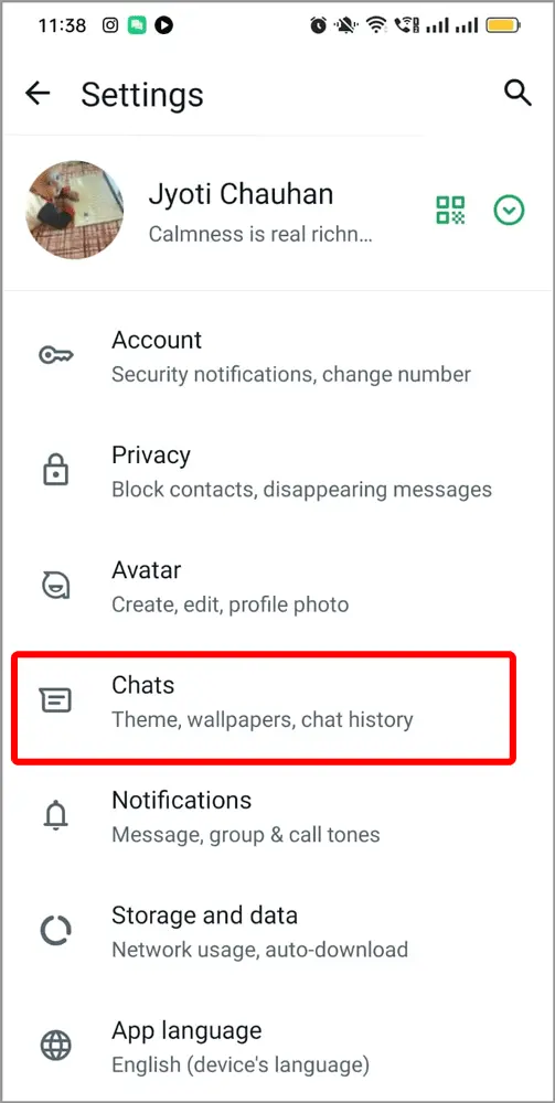 Whatsapp Chat Option